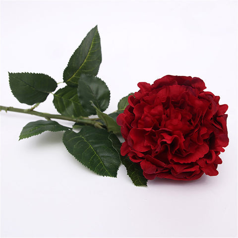 Cabbage Rose - Red - 55cm