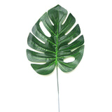 Tropical Coconut Leaves - Set of 6 - Large