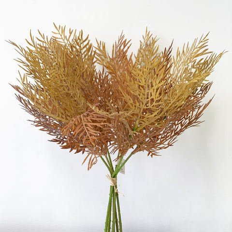 Plume Grass Bunch  - 38cm - Natural