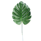 Tropical Coconut Leaves - Set of 6 Assorted Sizes