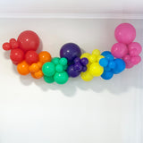 Balloon Garland DIY Kit - Rainbow - 1.9m