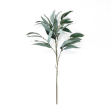 Eucalyptus Leaf Stem - 72cm - Green