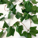 Ivy Leaf Garland x 5 Pack - 2.4m - 52 Leaves