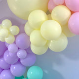 Balloon Garland DIY Kit - Large 3.8m - Pastel Rainbow