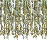 Rustic Eucalyptus Leaf & Ribbon Backdrop Curtain