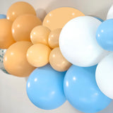 Balloon Garland DIY Kit - Bluey Theme - 1.7m