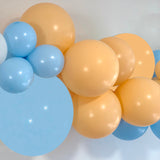 Balloon Arch Garland DIY Kit - Bluey Theme - 1.7m