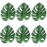 Tropical Coconut Leaves - Set of 6 - Large