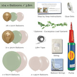 Balloon Garland DIY Kit - Large - 104 Pieces 3.8m - Eucalyptus, Gold & Sand
