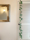 Ivy Leaf Garland x 5 Pack - 2.4m - 52 Leaves