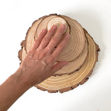 Wooden Centrepiece Slice - 5cm - 10 pack