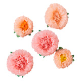 Tissue Paper Flowers - 5 Pack - Pink & Peach